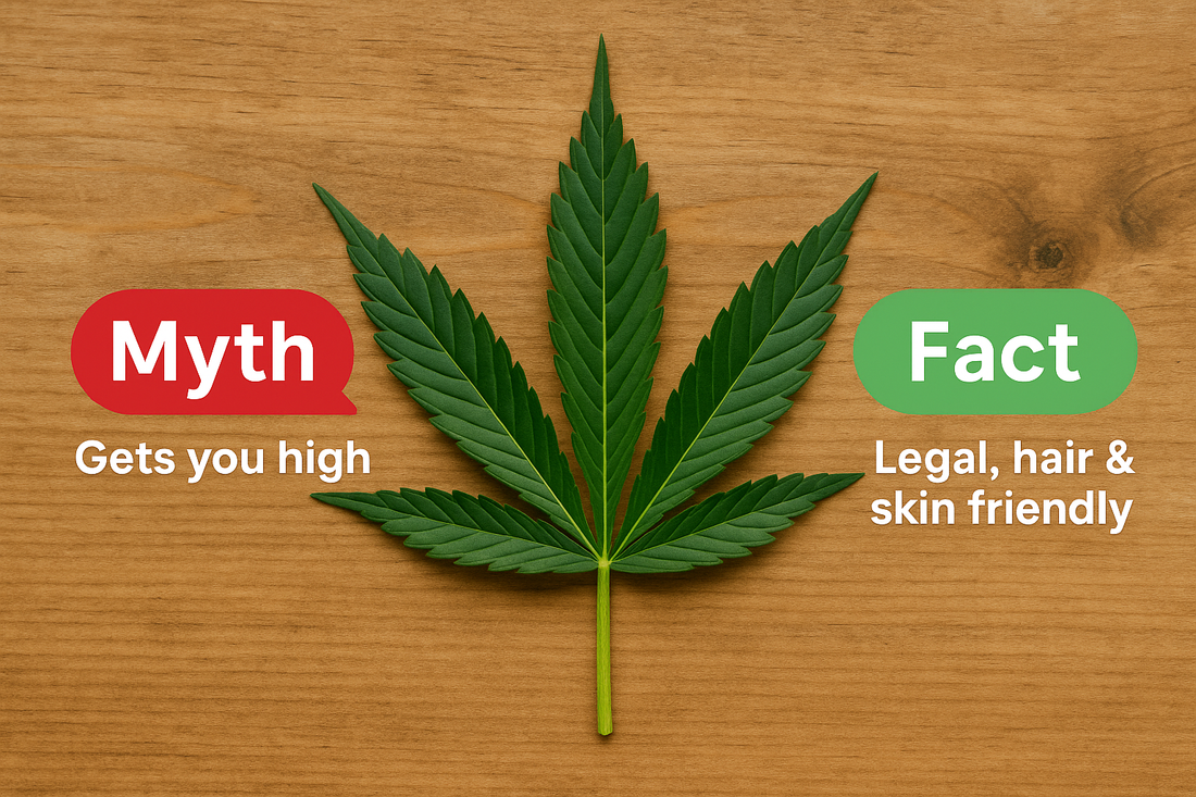 Hemp Seed, not Weed: Busting Every Hemp Taboo for Indian Men 🌱