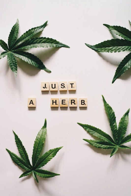 what is hemp?